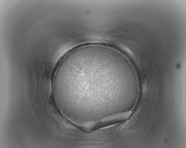 X0000089361267200706221152