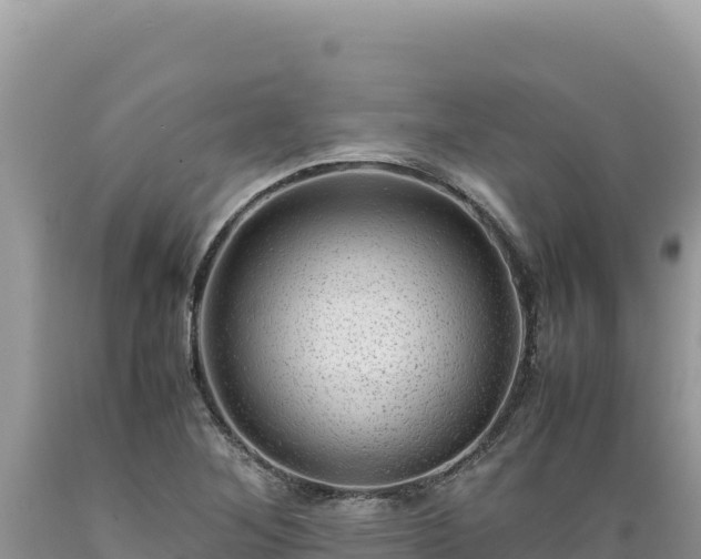 X0000089361268200706221152