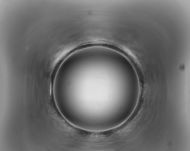 X0000089361269200706221152