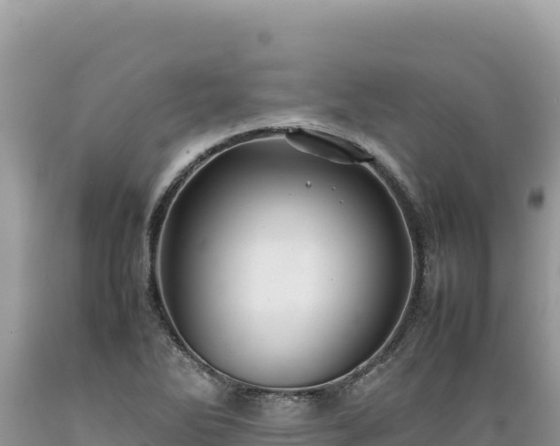 X0000089361270200706221152
