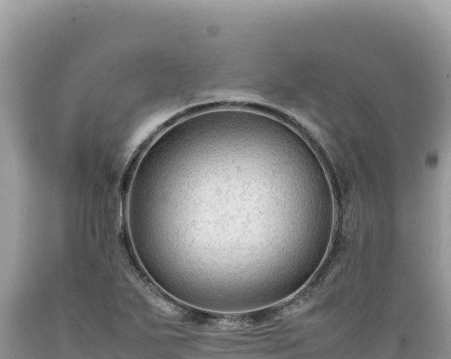 X0000089361271200706221152