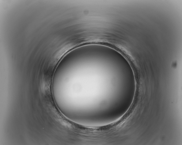 X0000089361273200706221152