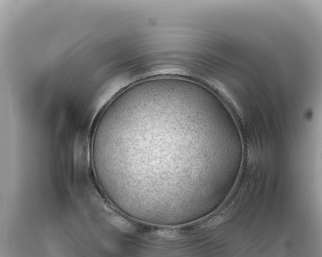 X0000089361274200706221152