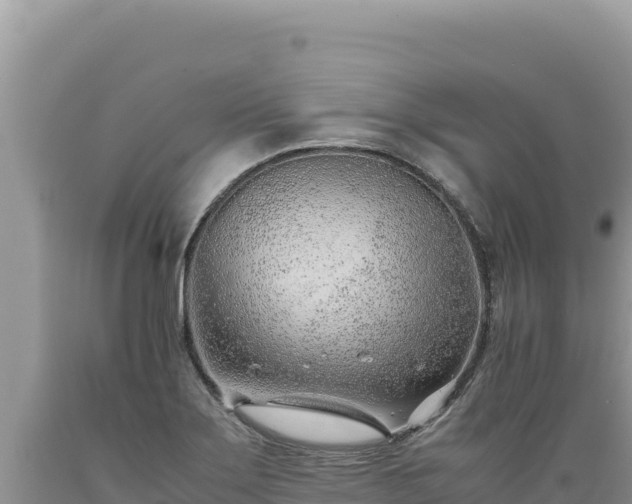 X0000089361275200706221152