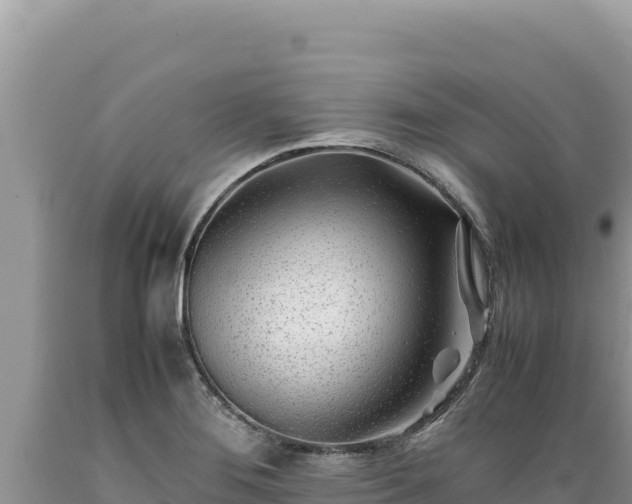 X0000089361276200706221152