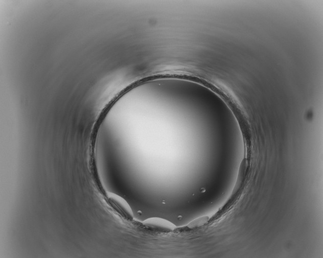 X0000089361277200706221152