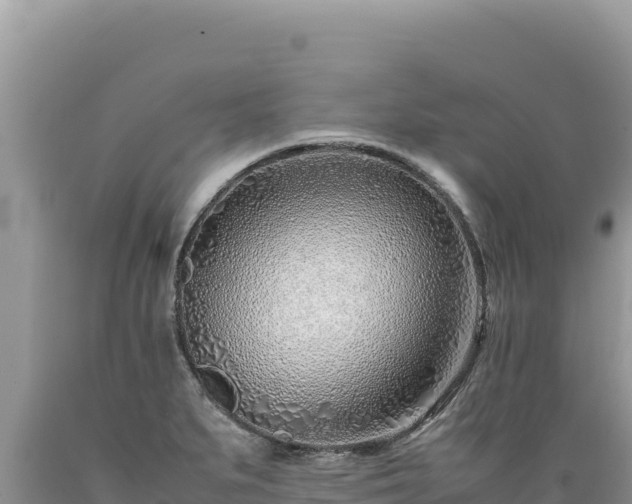 X0000089361279200706221152