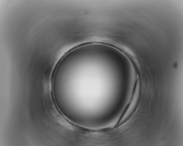 X0000089361280200706221152