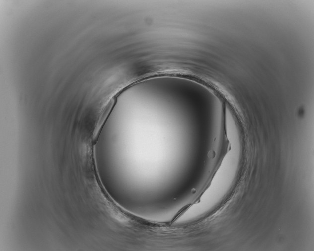 X0000089361281200706221152
