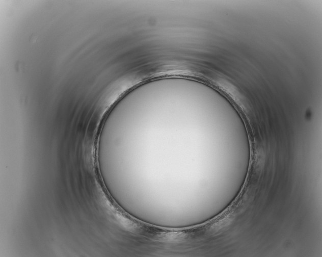 X0000089361282200706221152
