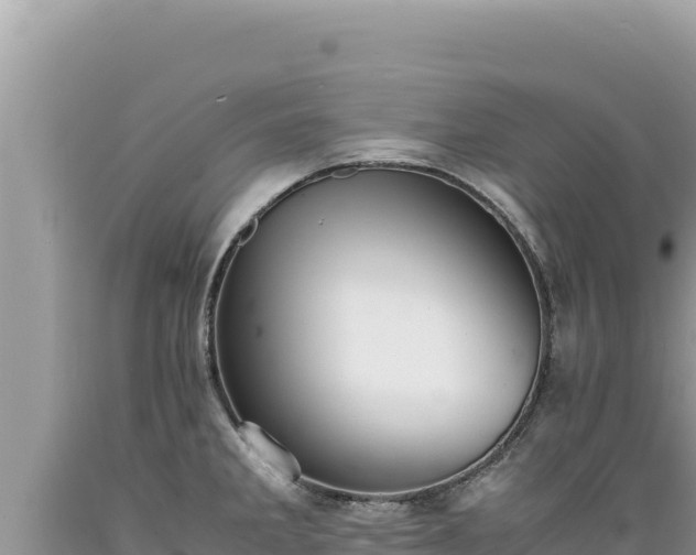 X0000089361285200706221152