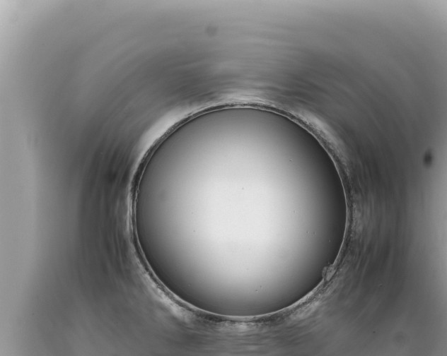 X0000089361286200706221152