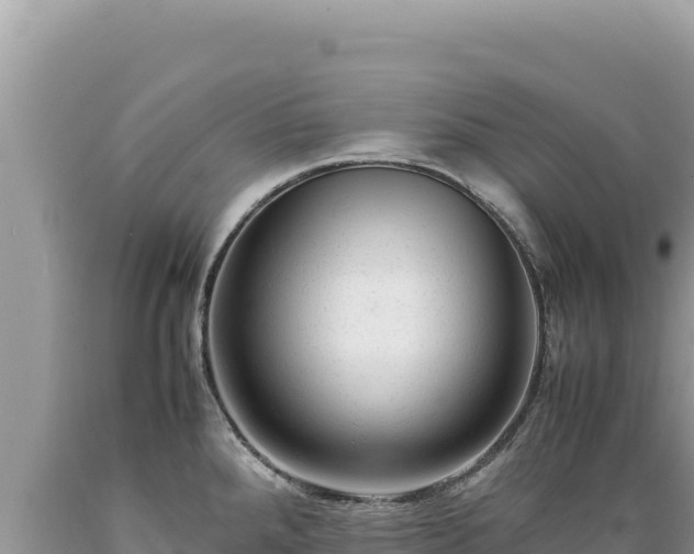X0000089361288200706221152