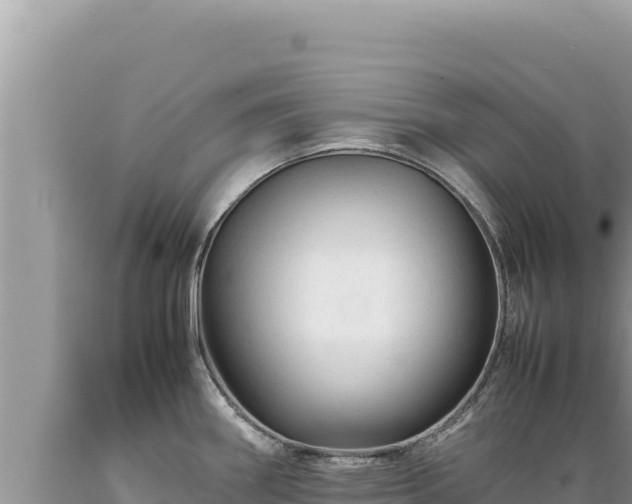 X0000089361290200706221152