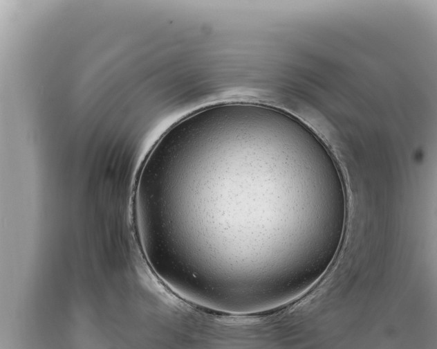 X0000089361296200706221152