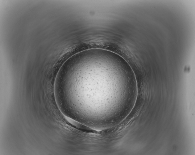 X0000089361297200706221151
