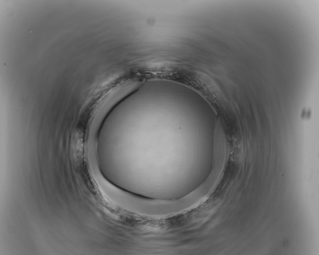 X0000089361298200706221151
