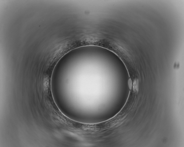 X0000089361299200706221151