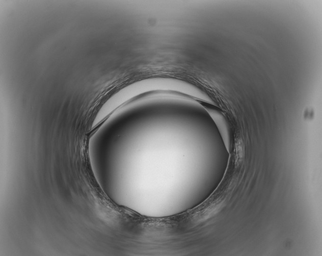 X0000089361300200706221151