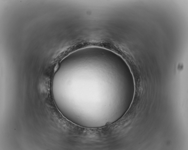 X0000089361301200706221151