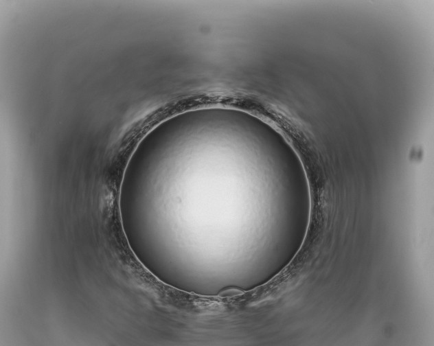 X0000089361302200706221151
