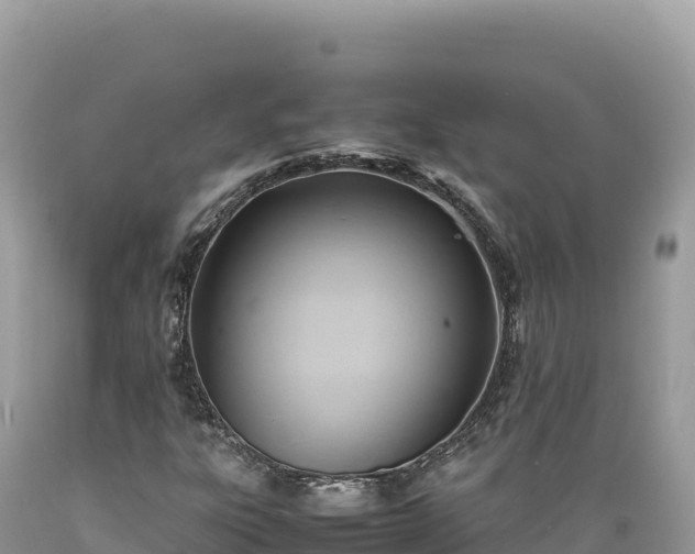 X0000089361303200706221151