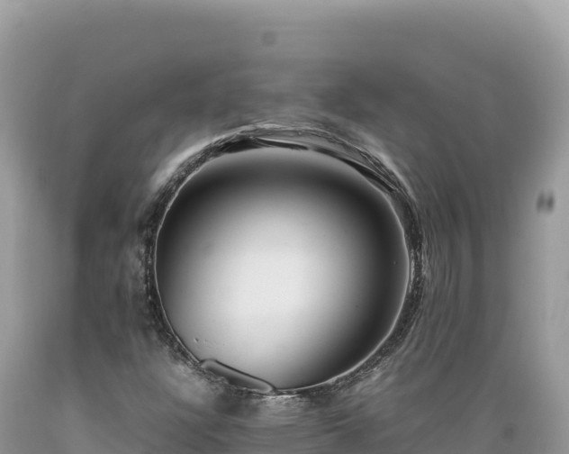 X0000089361304200706221151