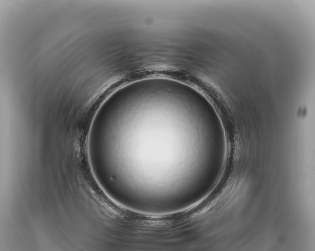X0000089361305200706221151