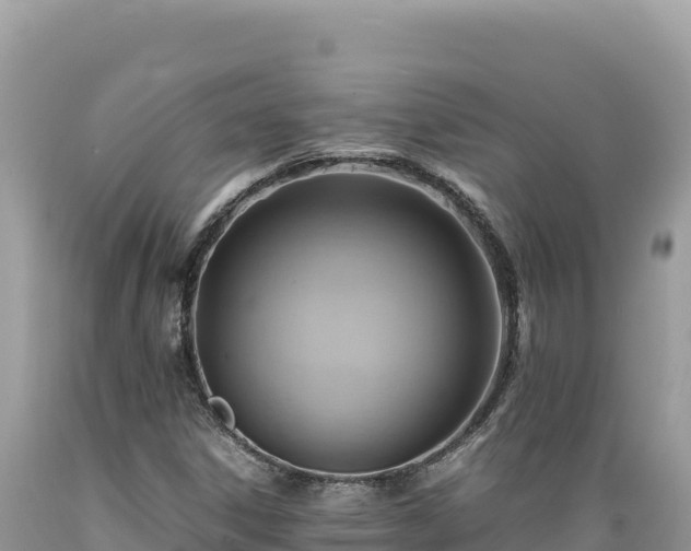 X0000089361306200706221151
