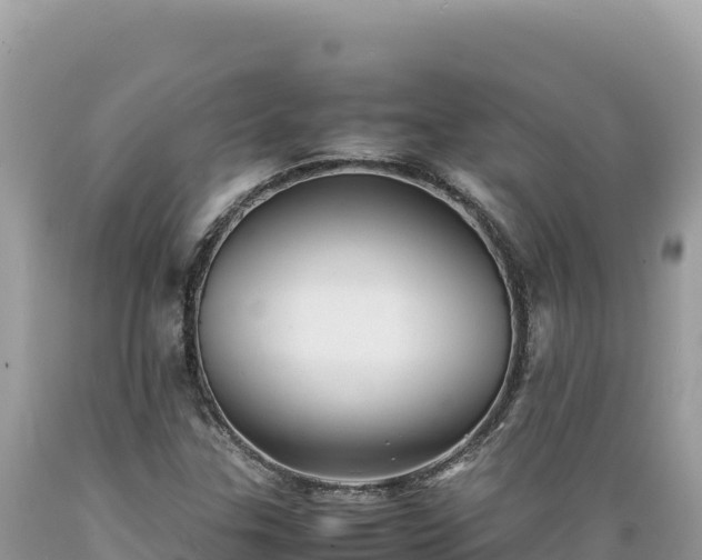 X0000089361307200706221151