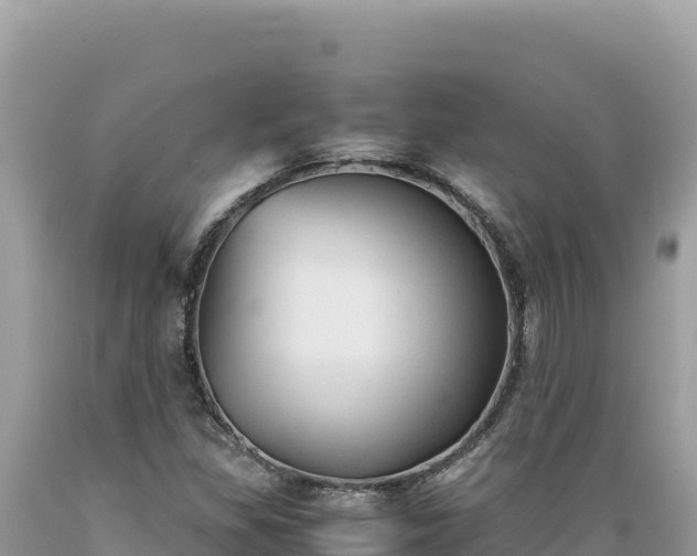 X0000089361309200706221151