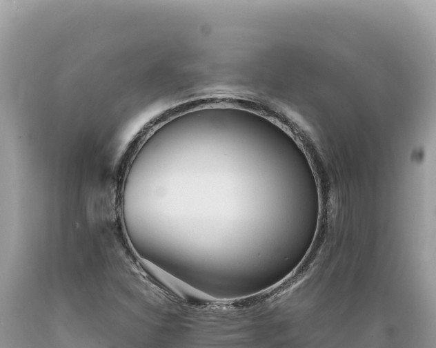 X0000089361310200706221151