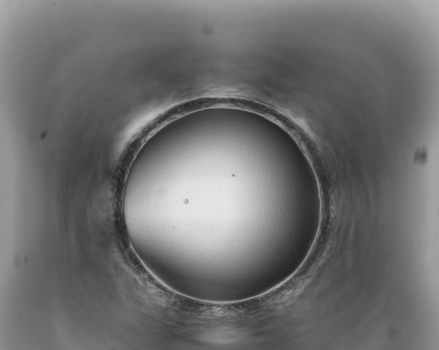 X0000089361311200706221151