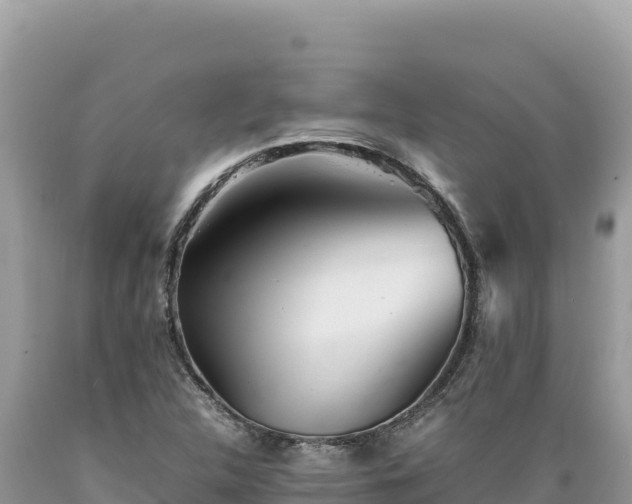 X0000089361312200706221151
