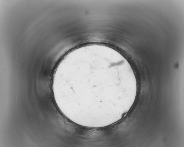 X0000089361314200706221151