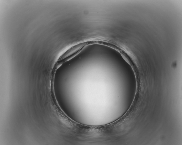 X0000089361316200706221151