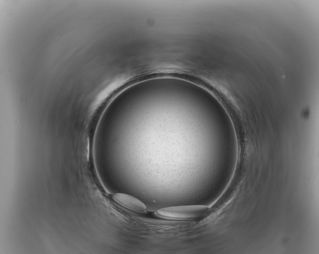 X0000089361317200706221151