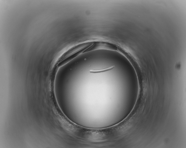 X0000089361318200706221151