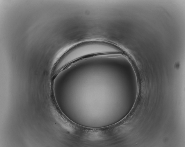 X0000089361319200706221151