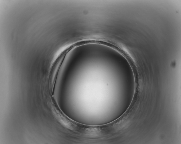 X0000089361320200706221151