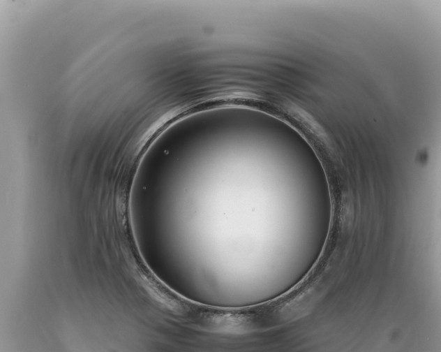 X0000089361321200706221151