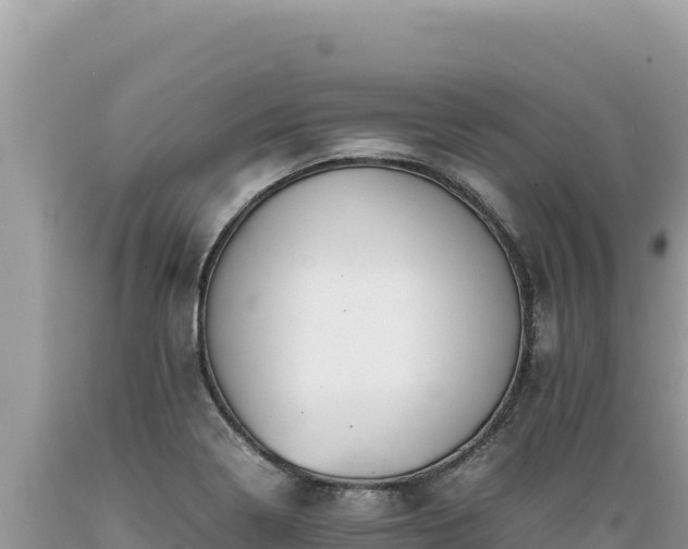 X0000089361322200706221151