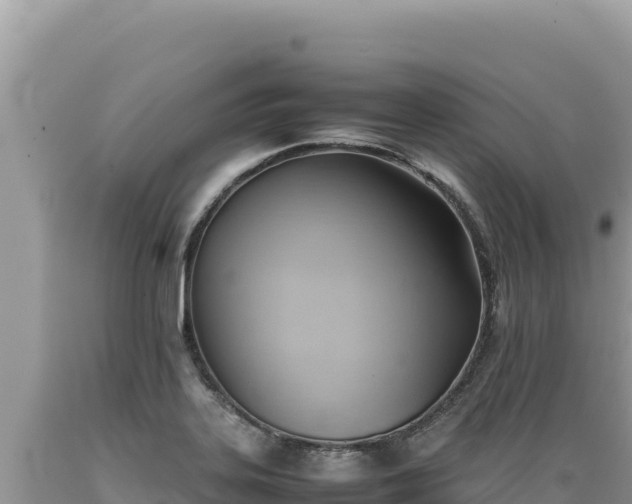 X0000089361323200706221151