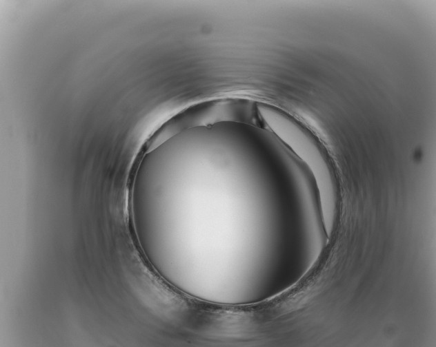 X0000089361324200706221151