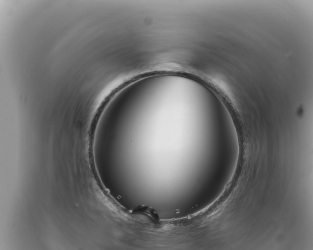 X0000089361326200706221151