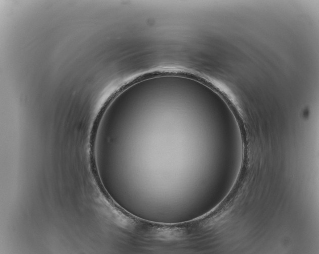 X0000089361327200706221152