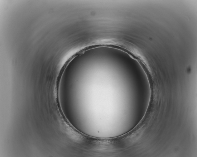 X0000089361328200706221152
