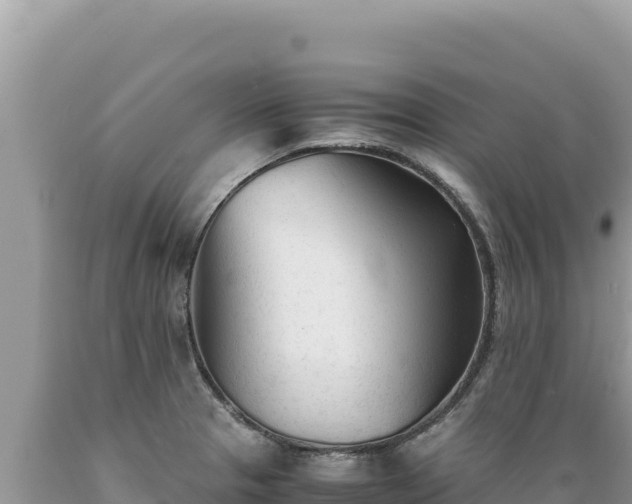 X0000089361329200706221152