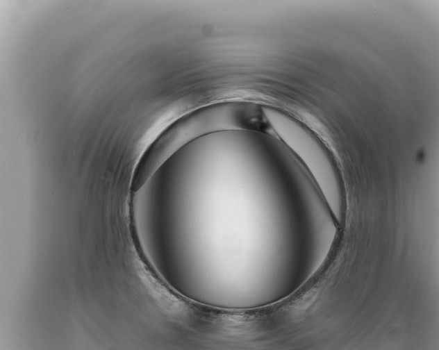 X0000089361330200706221152