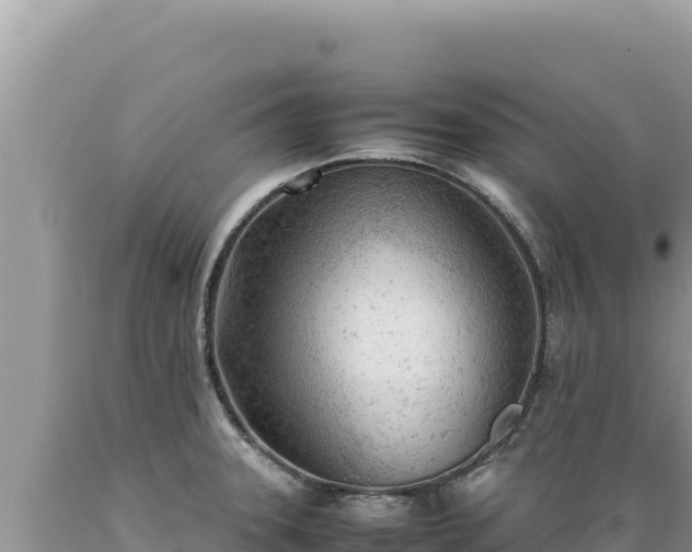 X0000089361331200706221152
